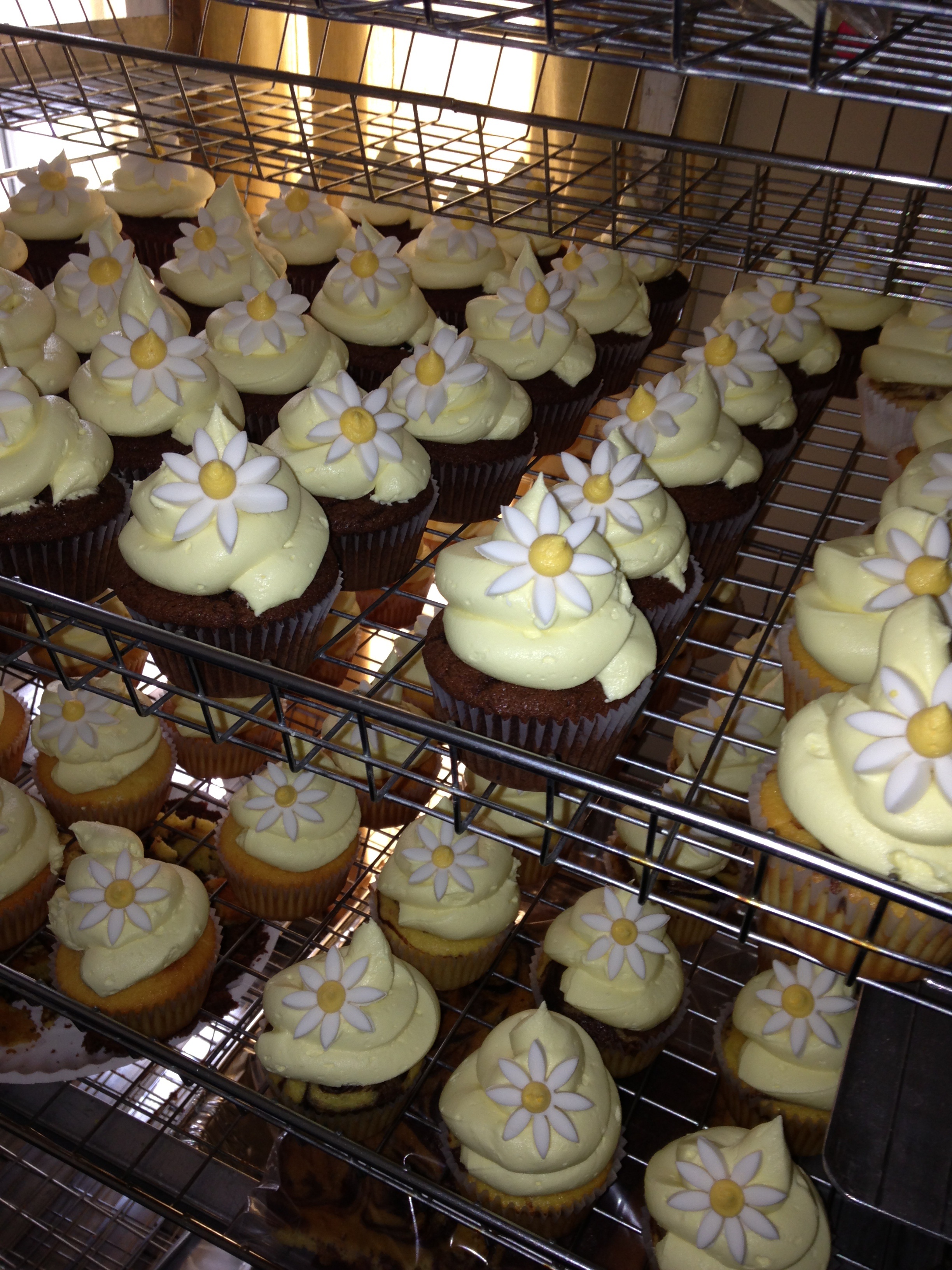 Sunshine Daisy Cupcakes
